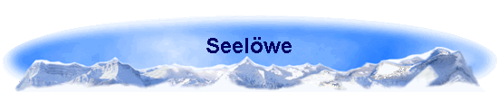 Seelwe